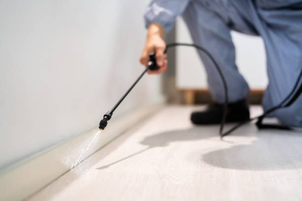 Licensed Termite Control service in Brushy, OK - Nex Pest Control