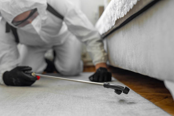 Professional Termite Control technician working in Brushy, OK