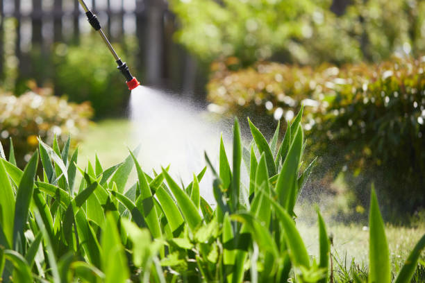 24/7 Emergency Termite Control experts in Brushy, OK