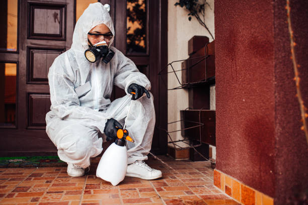 Reliable Termite Control contractor in Brushy, OK by Nex Pest Control